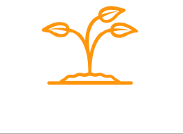 Philosophy Growth Icon